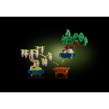 Arbori bonsai