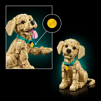 Cățeluș Golden Retriever