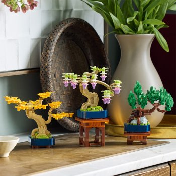 Arbori bonsai