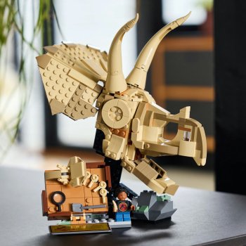 Fosile de dinozaur: craniu de Triceratops