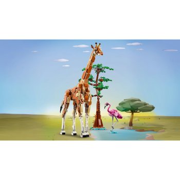 Animale salbatice din safari