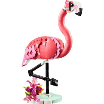 Animale salbatice: Flamingo roz