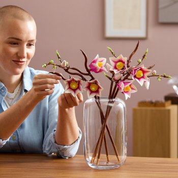 Ramuri de magnolie