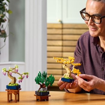 Arbori bonsai