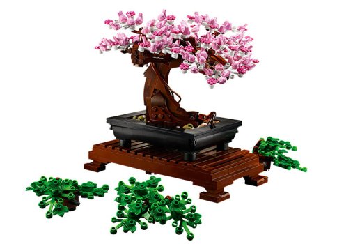 Bonsai