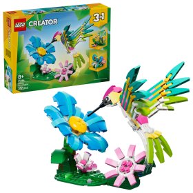 Animale sălbatice: Colibri colorat