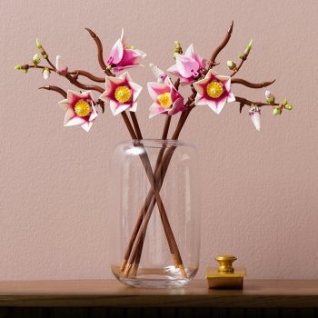 Ramuri de magnolie