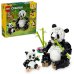 Animale salbatice: Familia de ursi panda