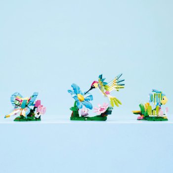 Animale sălbatice: Colibri colorat