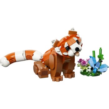 Animale adorabile: Panda roșu