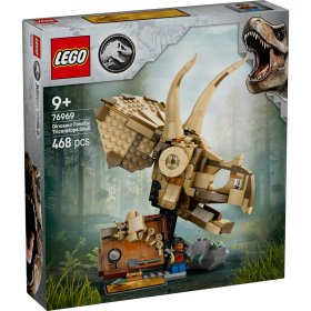 Fosile de dinozaur: craniu de Triceratops