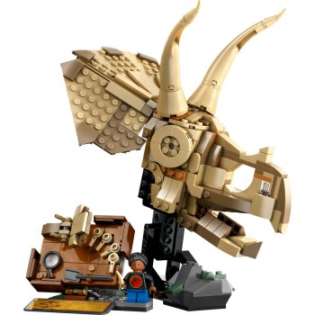 Fosile de dinozaur: craniu de Triceratops