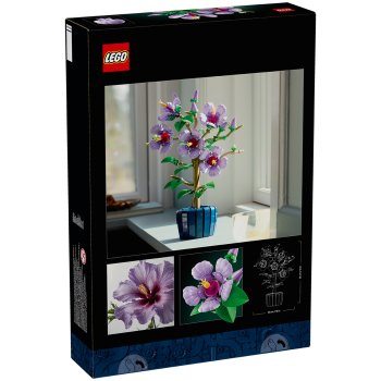 Hibiscus