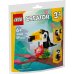Tucan tropical