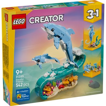 Animale marine: Delfini superbi