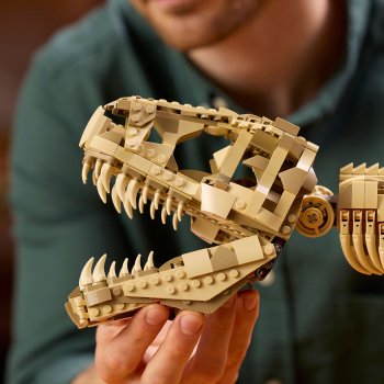 Fosile de dinozaur: Tyrannosaurus Rex
