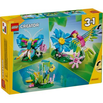 Animale sălbatice: Colibri colorat
