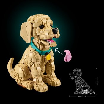 Cățeluș Golden Retriever