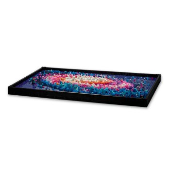 Galaxia Calea Lactee