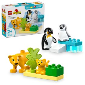 Familii de animale salbatice: Pinguini si lei