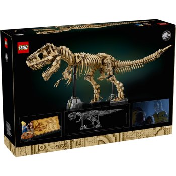 Fosile de dinozaur: Tyrannosaurus Rex