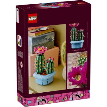 Cactus înflorit