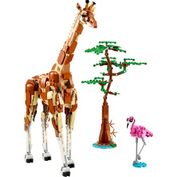 Animale salbatice din safari