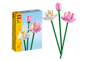 Lotus
