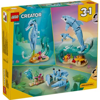 Animale marine: Delfini superbi