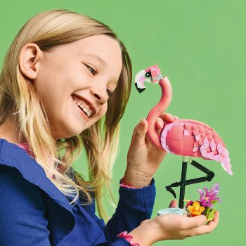 Animale salbatice: Flamingo roz