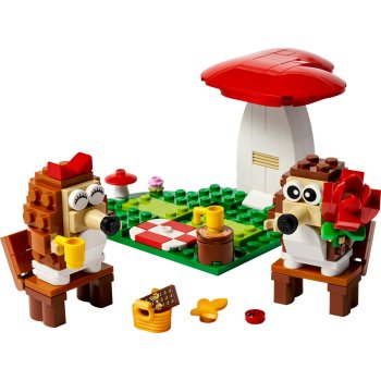 Picnicul romantic al aricilor