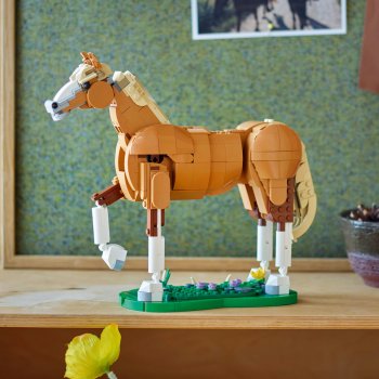 Cal frumos