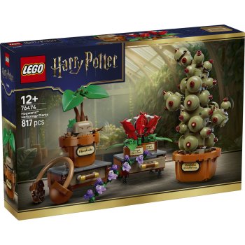 Plante pentru ora de ierbologie de la Hogwarts