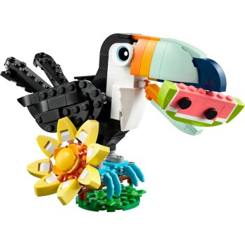Animale salbatice: Tucan tropical
