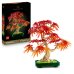 Bonsai de artar japonez rosu