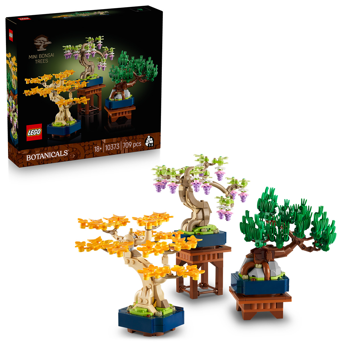 Arbori bonsai