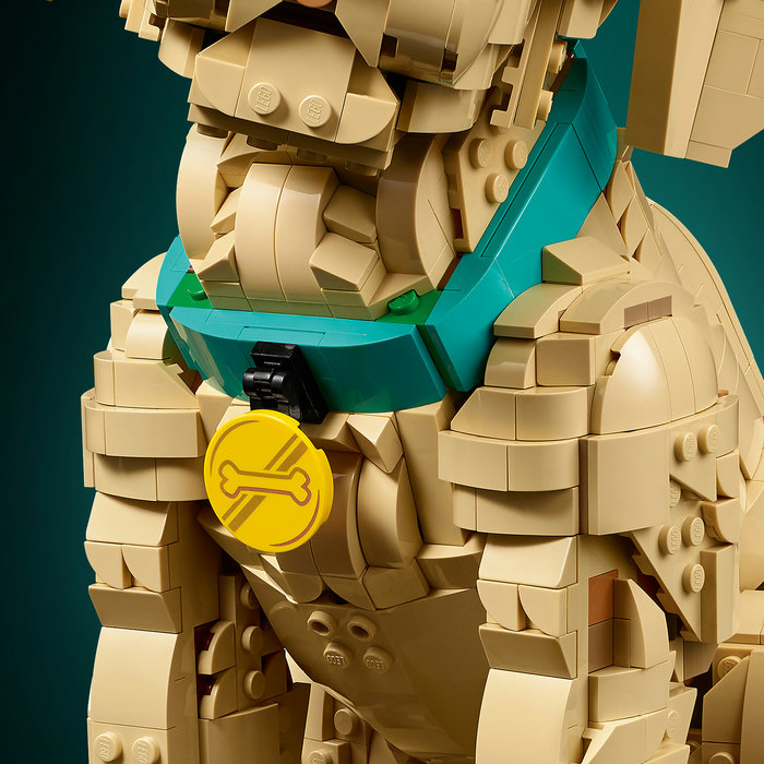 11384-lego-d