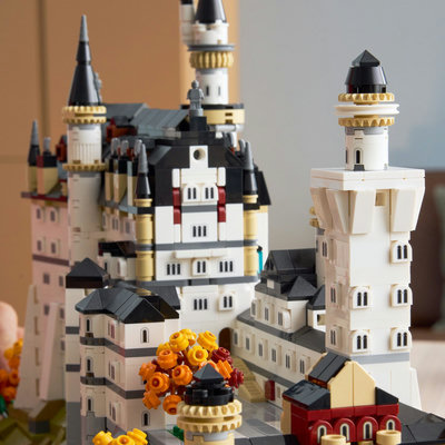 21063-lego-d