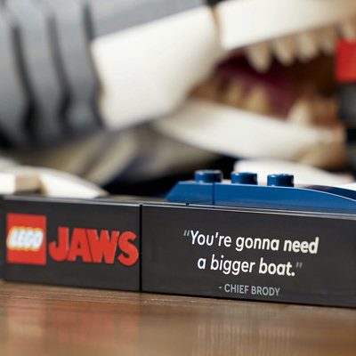21350-lego-d