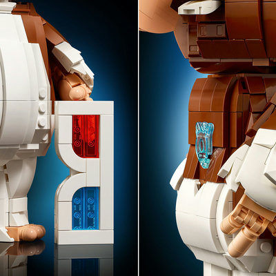 21361-lego-d