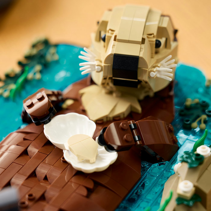 21366-lego-d