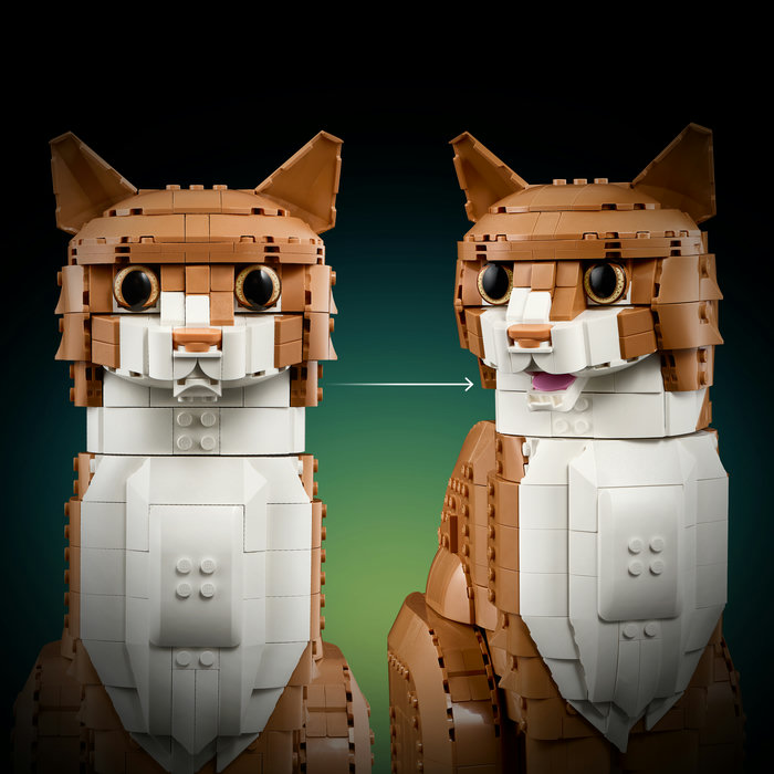 21376-lego-b