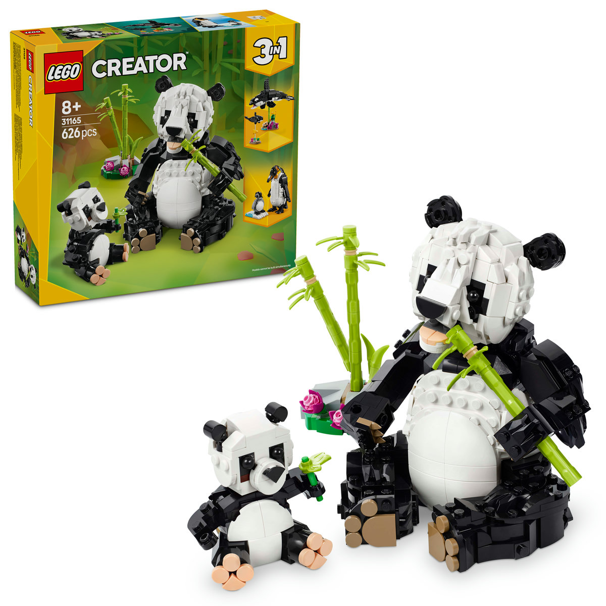 Animale salbatice: Familia de ursi panda
