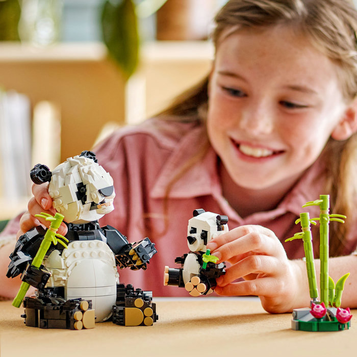 31165-lego-e