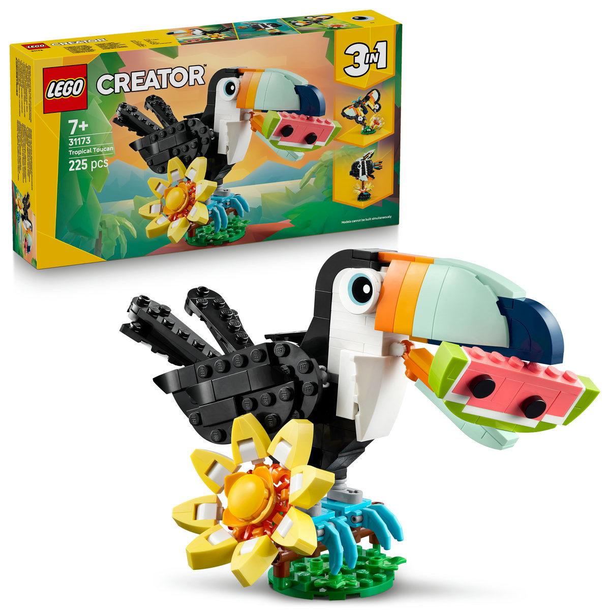 Animale salbatice: Tucan tropical