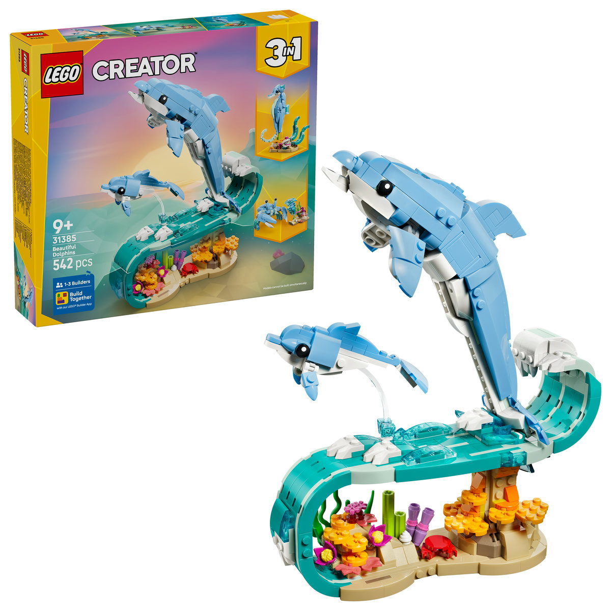 Animale marine: Delfini superbi