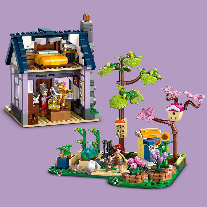 42669-lego-a