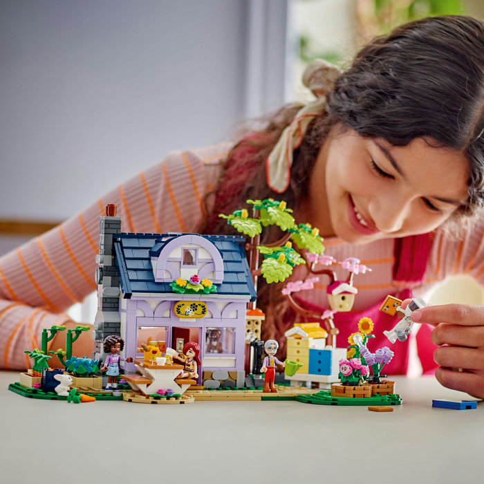 42669-lego-e