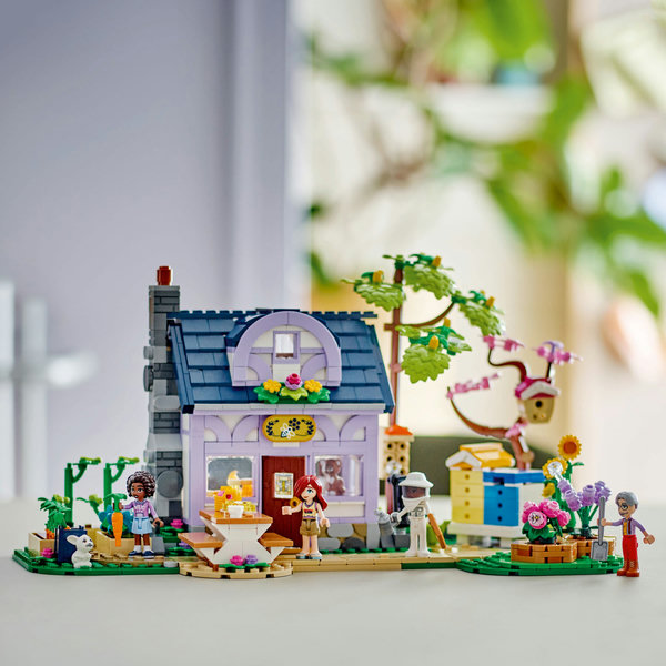 42669-lego