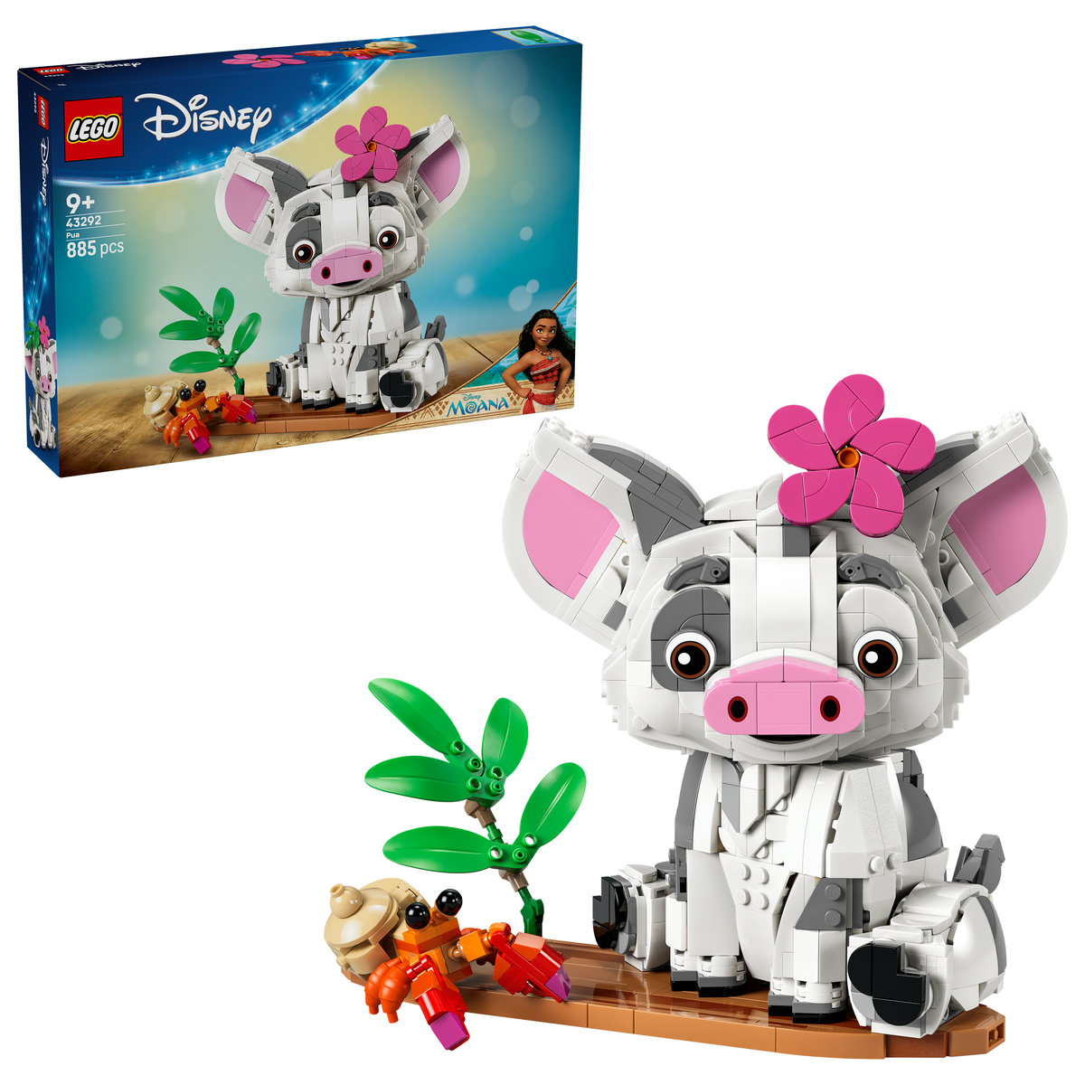 Pua